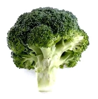 legume