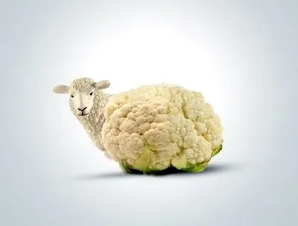 testépítő