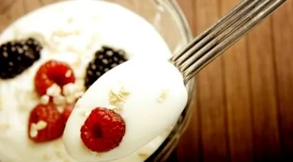 joghurt szerezd