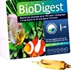 fresh