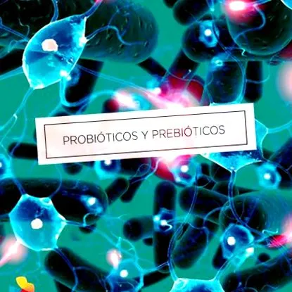 prebiotikumok