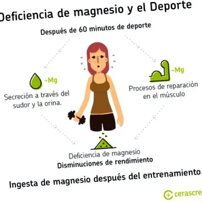 magnézium-cerascreen