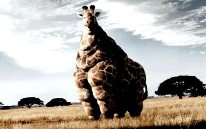 photoshop