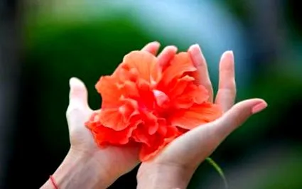 ползи