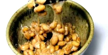 какао