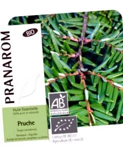 pranarom-ból