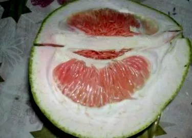 grapefruit
