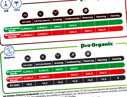 organic organic