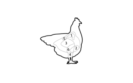 fehér