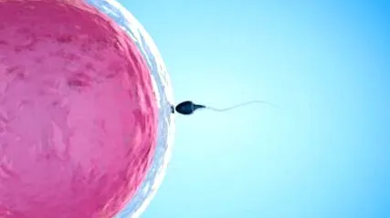 sperma