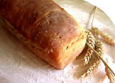 recept