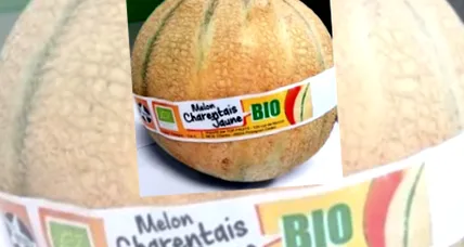 prezenței