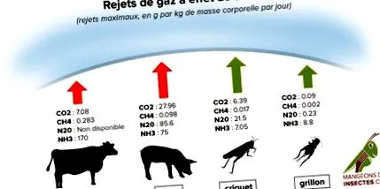 ecologice