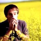 rhinitis