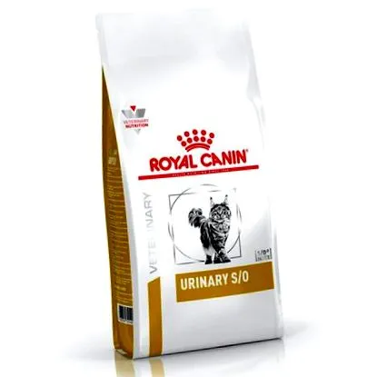 canin