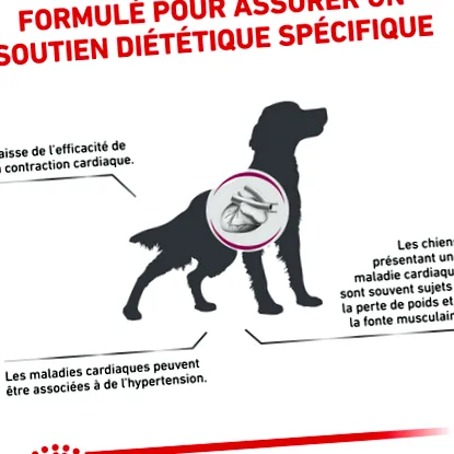 veterinary