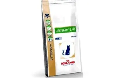 Royal Canin padlizsán