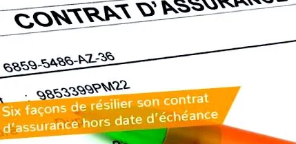 șase