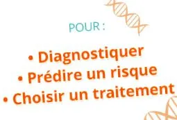 tesztek inserm