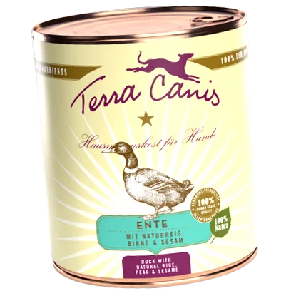 canis terra