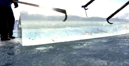 трохи оселенець