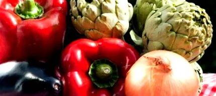 mediteraneană