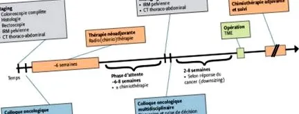 multidiszciplináris