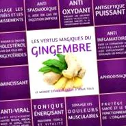 ginger