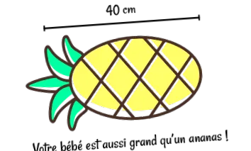 sarcină