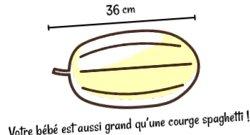 săptămână