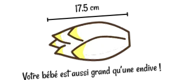 16-a