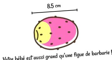 11-a