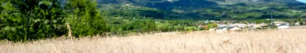 fejlődése