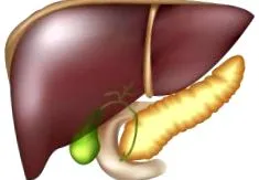 cauze ficatului