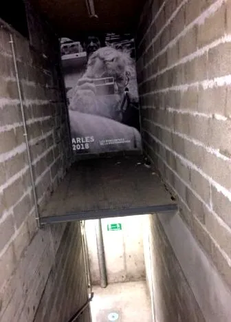 termál