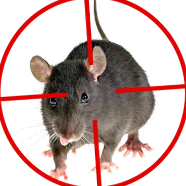ACTION HYGIENE