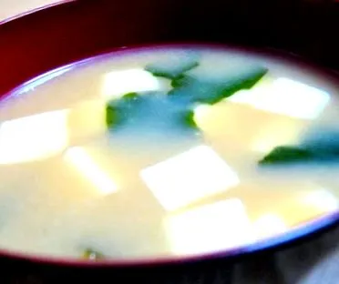 miso levest