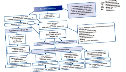 pediatrie