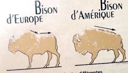 америка резерват