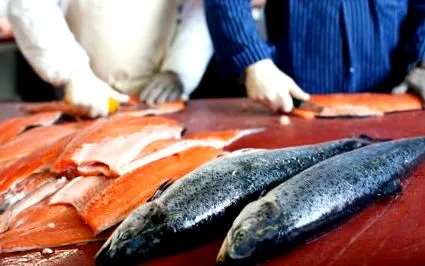fishmonger