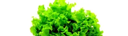 alte legume