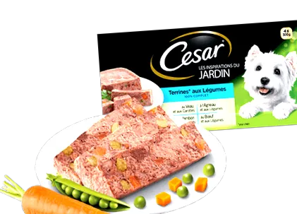 cezar