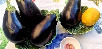 kaviár