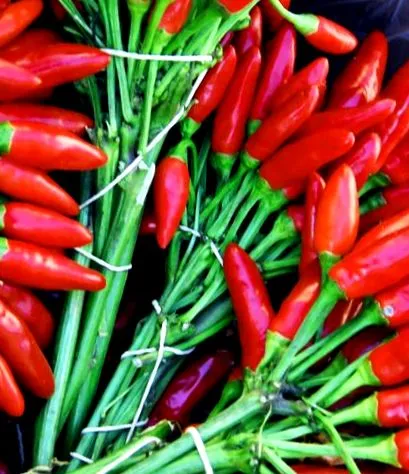 scoville-skála