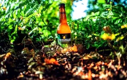 dremmwel