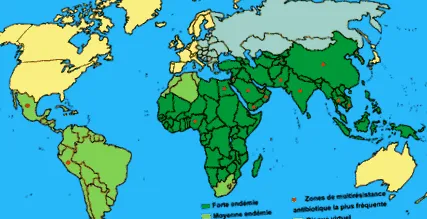 rezisztencia megjelenése