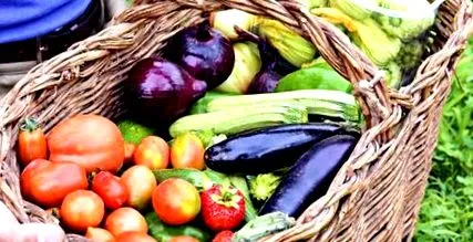 alimentelor pentru dieta