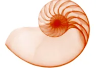 programja