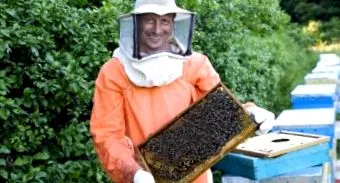 albine produsele