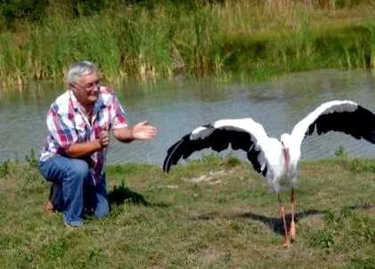 старий